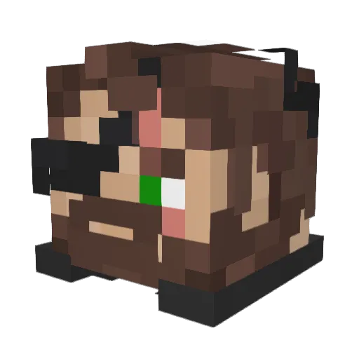 slitheringturtle Minecraft avatar head, 3D render