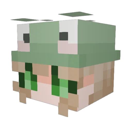sliverspam Minecraft avatar head, 3D render