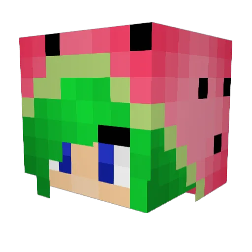slkinney18 Minecraft avatar head, 3D render