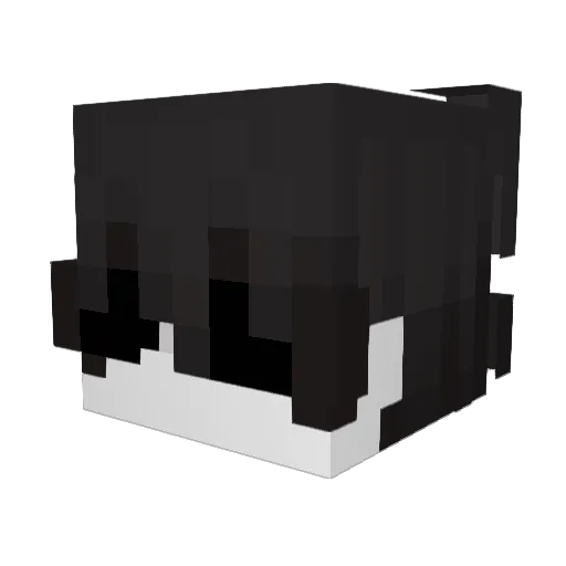 sllfr Minecraft avatar head, 3D render