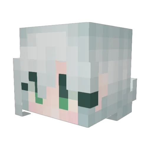 sllixer Minecraft avatar head, 3D render