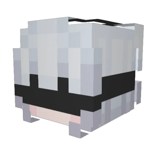 sllyLemon Minecraft avatar head, 3D render