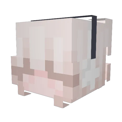 slm444 Minecraft avatar head, 3D render