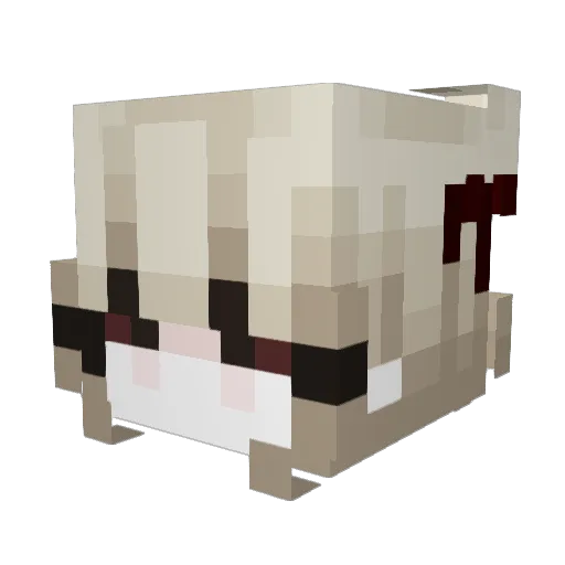 slodkakotka55 Minecraft avatar head, 3D render