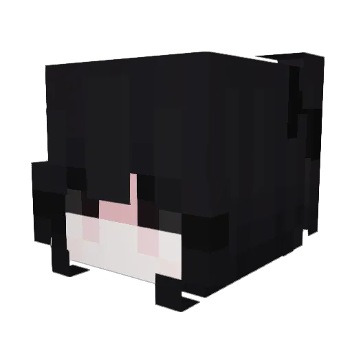 sloesss Minecraft avatar head, 3D render