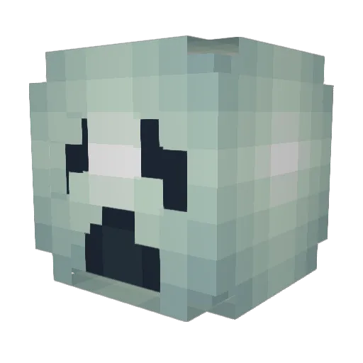 slong866 Minecraft avatar head, 3D render