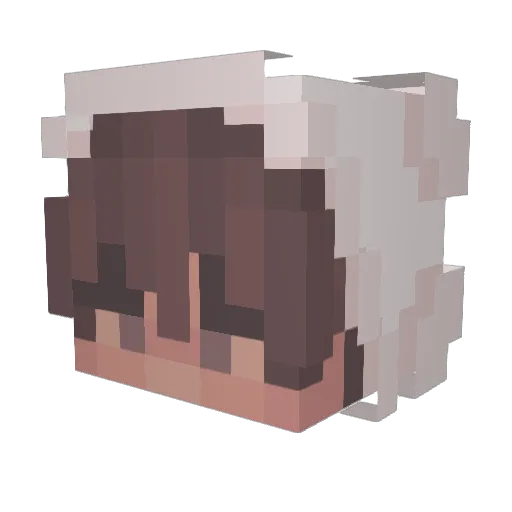 sloppa Minecraft avatar head, 3D render