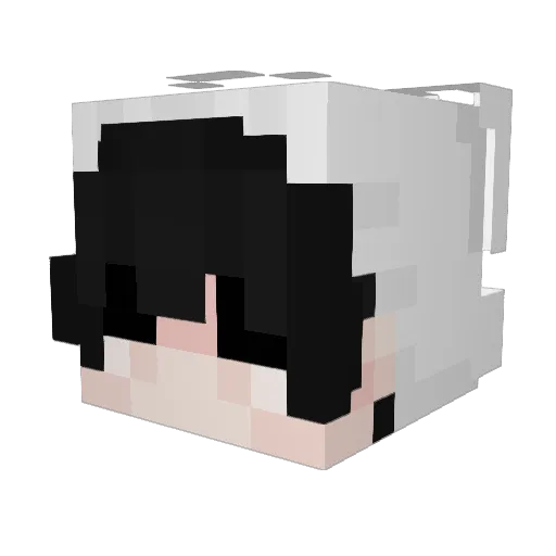 sloppyfrong Minecraft avatar head, 3D render