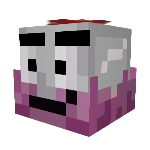 sloppypapatv Minecraft avatar head, 3D render