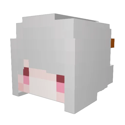 sloth00424 Minecraft avatar head, 3D render