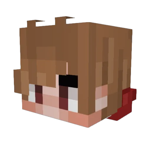 slothkillz Minecraft avatar head, 3D render
