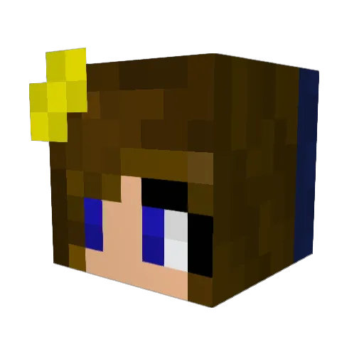 slothmanman Minecraft avatar head, 3D render
