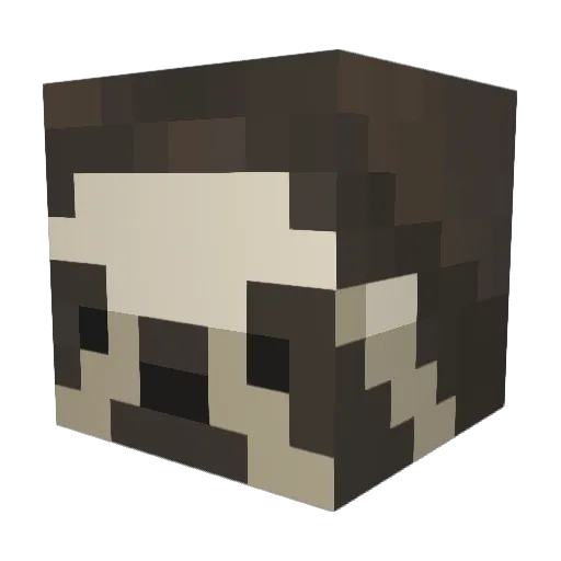 slothmeister970 Minecraft avatar head, 3D render