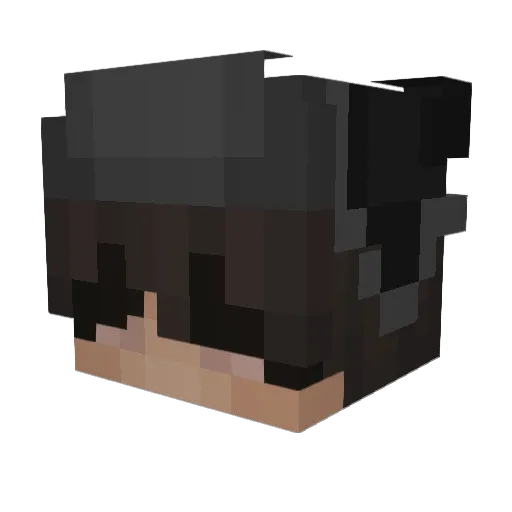 slothsin2 Minecraft avatar head, 3D render