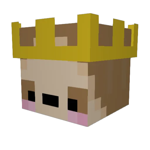 slothsisters Minecraft avatar head, 3D render