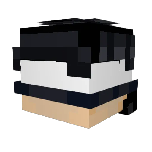 slow400 Minecraft avatar head, 3D render