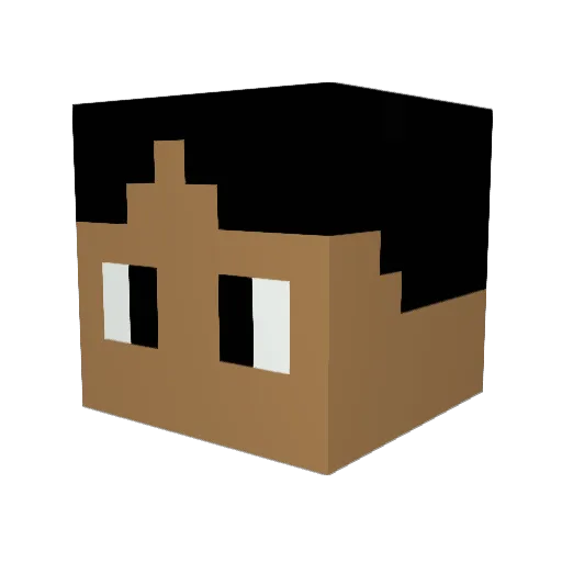 slow_tani Minecraft avatar head, 3D render
