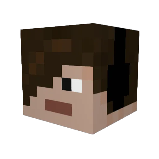 slowfallant Minecraft avatar head, 3D render