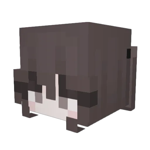 slowpcke Minecraft avatar head, 3D render