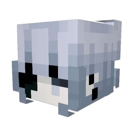 slowquerblinkar Minecraft avatar head, 3D render