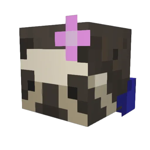 slows1oth Minecraft avatar head, 3D render