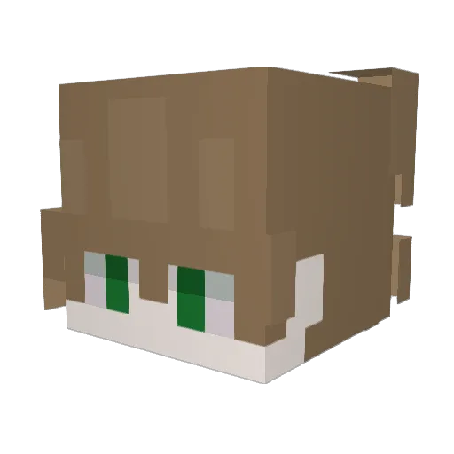 slowseba Minecraft avatar head, 3D render
