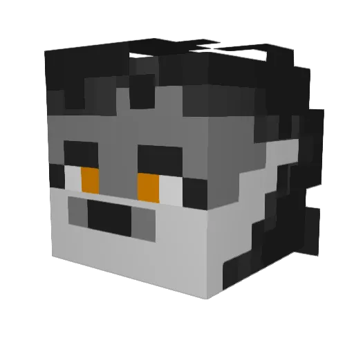 slowtyper Minecraft avatar head, 3D render