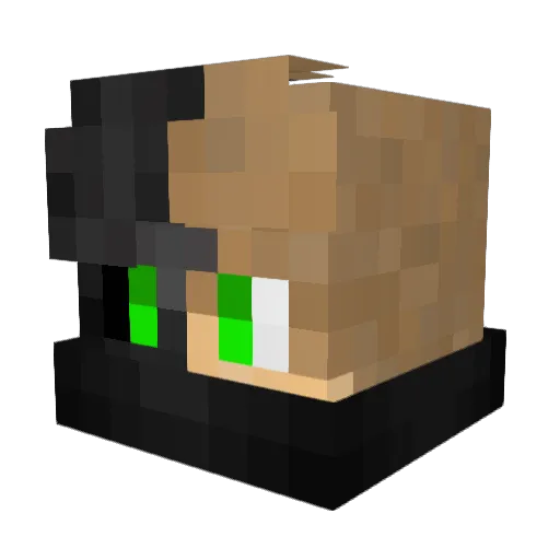 slpn12 Minecraft avatar head, 3D render