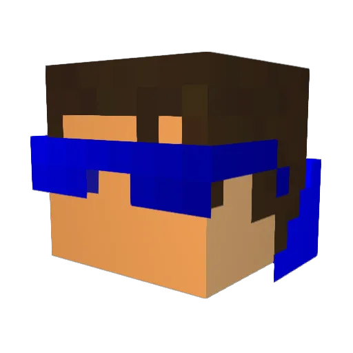sls2014 Minecraft avatar head, 3D render