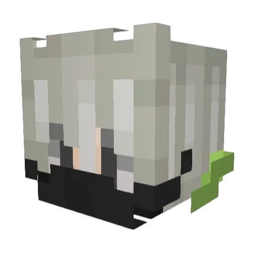 sls_hamu Minecraft avatar head, 3D render
