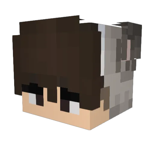 slslsk Minecraft avatar head, 3D render