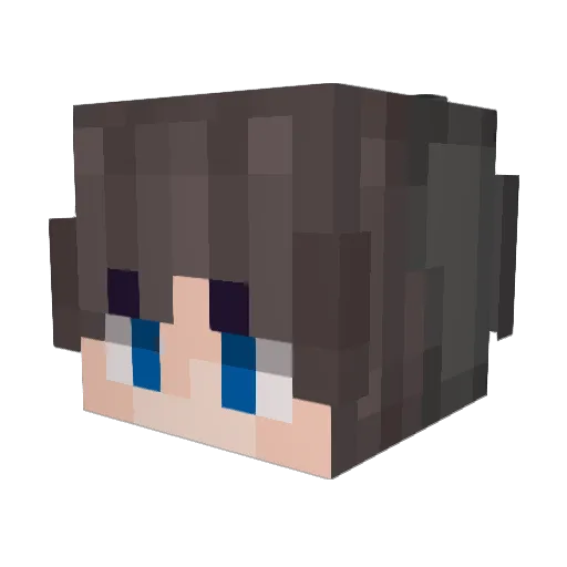 slt56to1 Minecraft avatar head, 3D render