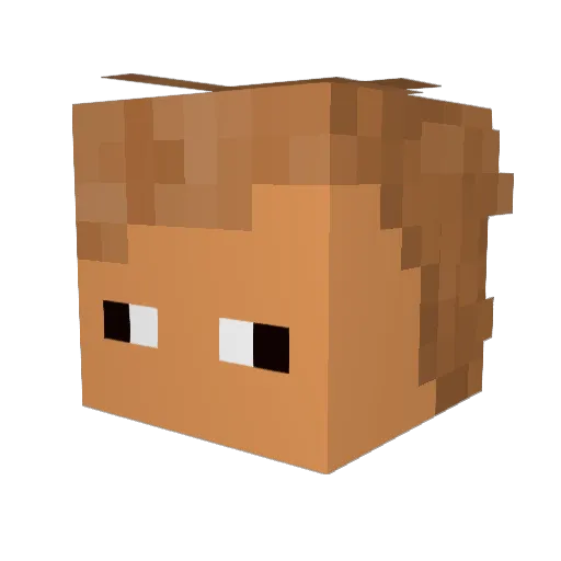 slug00 Minecraft avatar head, 3D render