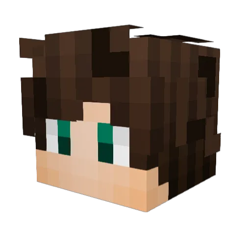 slug_power6 Minecraft avatar head, 3D render