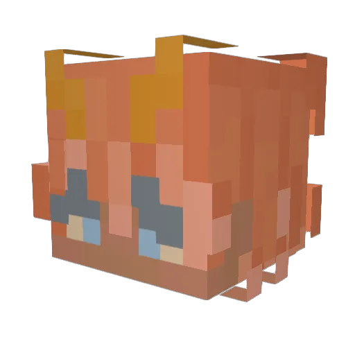 slugbite_ Minecraft avatar head, 3D render