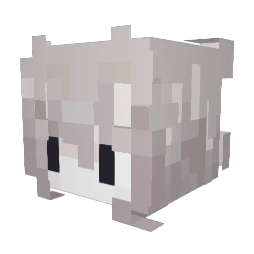slugbucket_ Minecraft avatar head, 3D render