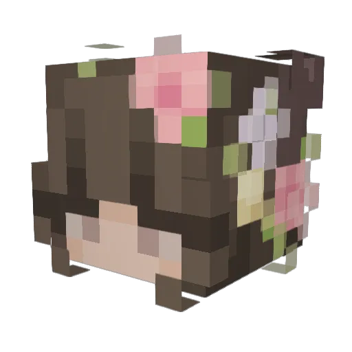 slugbug003 Minecraft avatar head, 3D render
