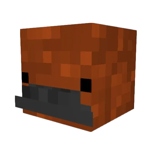 sluger27 Minecraft avatar head, 3D render