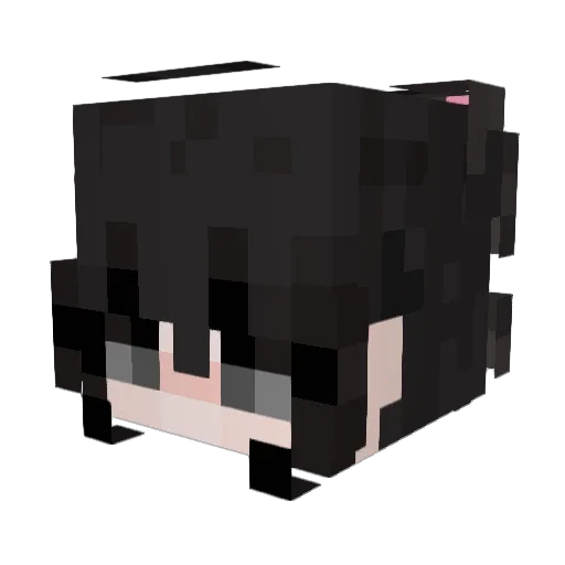 slugvi Minecraft avatar head, 3D render