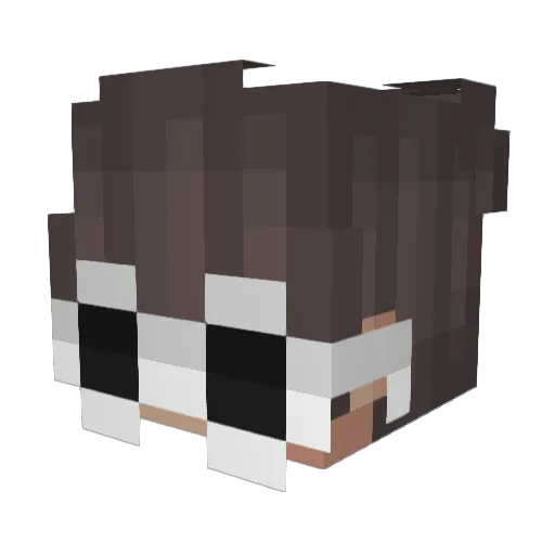slumpcareless Minecraft avatar head, 3D render