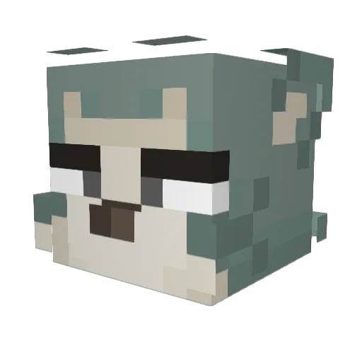 slumpxo Minecraft avatar head, 3D render