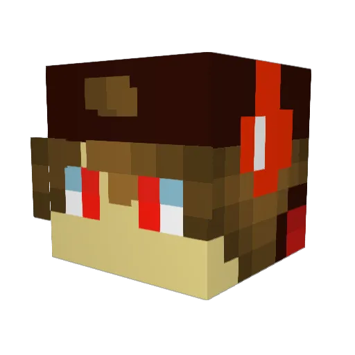 slupid Minecraft avatar head, 3D render