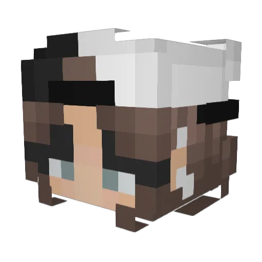 slurfke123 Minecraft avatar head, 3D render