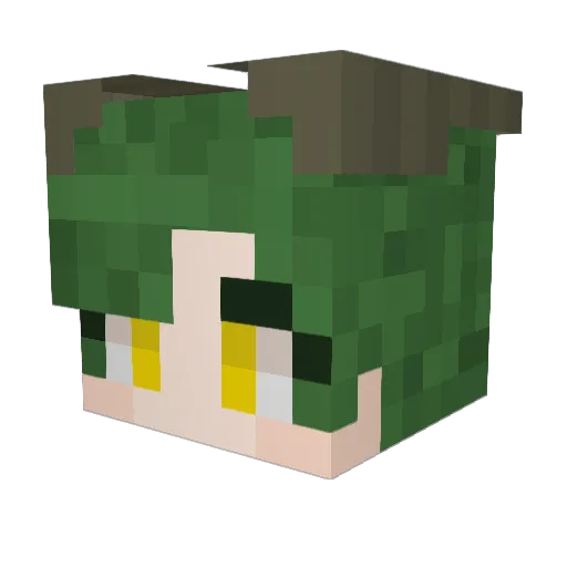 slush228 Minecraft avatar head, 3D render