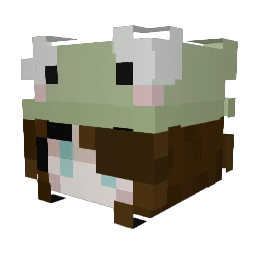 slushy22 Minecraft avatar head, 3D render