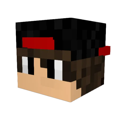 slyfoxtha3 Minecraft avatar head, 3D render