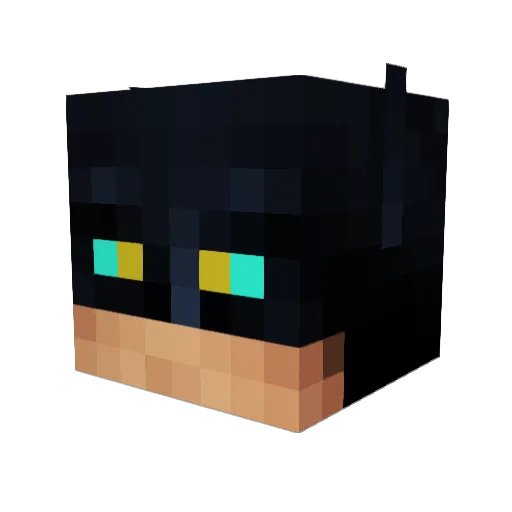 slymer800 Minecraft avatar head, 3D render