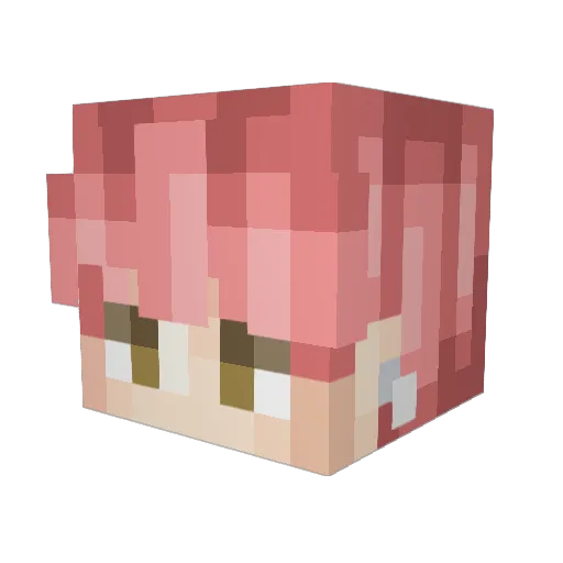 slynn365 Minecraft avatar head, 3D render