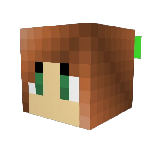 slytherin000 Minecraft avatar head, 3D render