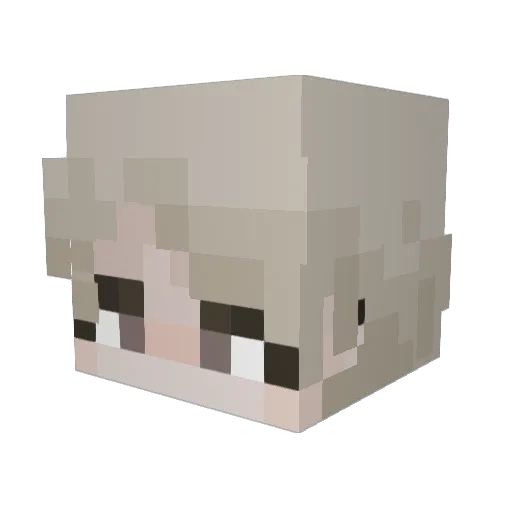 slytherins_ Minecraft avatar head, 3D render